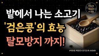 '검은콩'의 효능, 탈모방지 까지!/ 진짜식사 1/ 식사법/ 건강/ 따뜻한책한잔/ 책읽어주는여자/ 책리뷰