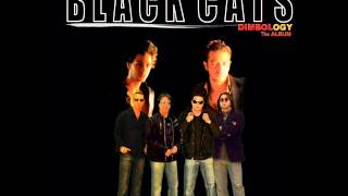 Black Cats - Ey Daad | بلک کتس - ای داد