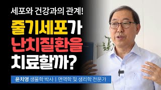 줄기세포는 관절염, 파킨슨병, 탈모치료 등 난치질환을 치료할 수 있을까? '세포와 건강과의 관계' Episode 5, 윤치영  생물학 박사, 면역학, 생리학 전문가#줄기세포#치료