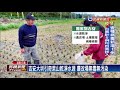 宜蘭雨不停產量銳減 三星蔥移至花蓮翻種－民視新聞