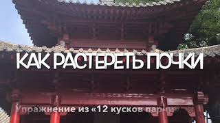 Точка шэнь-шу. Как растереть почки.  Упражнение из курса «12 кусков парчи» - Дарья Патока