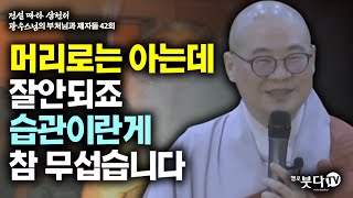 머리로는 아는데 잘안되죠 습관이란게 참 무섭습니다 | 전설 따라 삼천리 광우스님의 부처님과 제자들 42회(21-2) 이야기