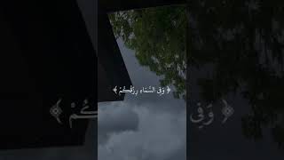 استمتع بجمال الايه وجمال الصوت