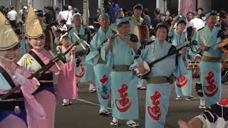 2024.8.9(金) 鳴門市阿波おどり｢さゝ連｣(大道おどり通り) 徳島県鳴門市