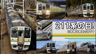 【211系】ついにこの日が来た!　2月11日”211系の日”!【鉄道模型】