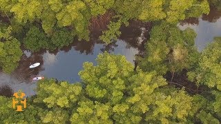 Exploring by Paddleboard | Trinidad \u0026 Tobago Discoveries | World Nomads