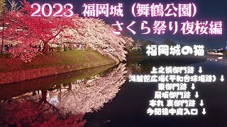 97話【2024年のお花見にもオススメ】福岡城(舞鶴公園) さくら祭り ①夜桜編 ライトアップ