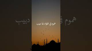 إلهي أنت تعلم كيف حالي - مشاري العفاسي