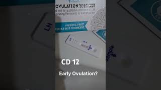 TTC #2 | CD 12 | Ovulation kit | LH test | Early Ovulation | 03 Oct 2024 | Baby Bump #ttcjourney