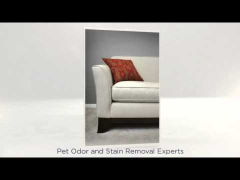 Professional Carpet Cleaners Boise Professional Carpet Cleaners Boise