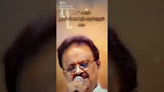 யார் யார்க்கு எது வென்று விதி போடும் பாதை|malardiaries|#trending#tamil#shorts#❤️😍😘