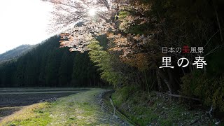 日本の美風景　里の春・４K