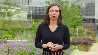 Green Cities Europe Main Video - English Subtitles