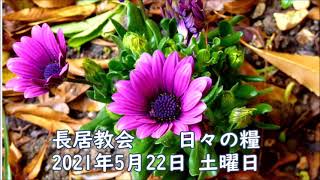 日々の糧　2021年5月22日　#使徒言行録10:9-23a