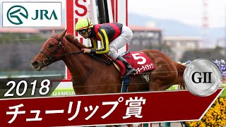 2018年 チューリップ賞（GⅡ） | ラッキーライラック | JRA公式