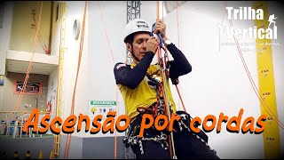 Ascensão por cordas - Serta Treinamentos