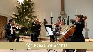 Ankunft der Königin von Saba von Händel | Einzug in die Kirche | Das Prima-Streichquartett