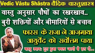 घर में अव्यवस्थित पेड़-पौधों के बुरे प्रभाव | पेड़-पौधों का वास्तु #vastu #ashwinikumarbansal