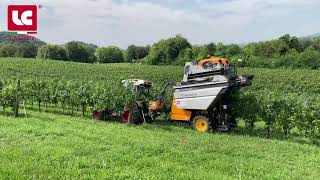 Vendemmia 2020 🍇 -  Vendemmiatrice trainata Pellenc 8090 revisionata da LaCruz!