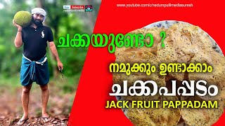 ചക്കപപ്പടം എളുപ്പത്തിൽ ഉണ്ടാക്കും  || jackfruit pappy recipe || SURESH NEDUMPULLI