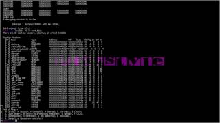 Elf Code Injection Part 2