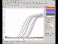 COVID-19 PCR (Rotor gene Q)