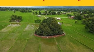 अति सुन्दर हरियलि तराइ भेग /Drone Reveals Amazing Nepal - Terai Region