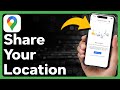 How To Share Your Location In Google Maps