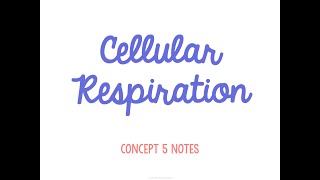 Unit 3 Energy Flow Concept 5 Notes *UPDATED*