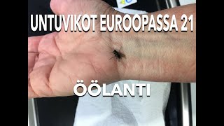 Untuvikot Euroopassa 21