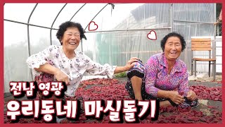 [남도지오그래피] 우리 동네 마실돌기–전남 영광｜KBS 221004 방송