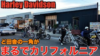 【ハーレー】ただの営業日です。 Harley Davidson