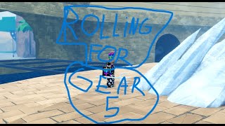 Rolling for gear 5 in roblox fruit battlegrounds.