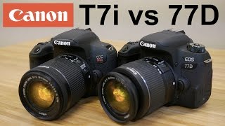 Canon T7i (800d) vs Canon 77D - Head to Head Shootout!