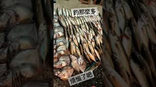 釣魚釣太多也是很煩惱的