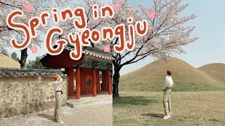 Spring in Gyeongju, Korea VLOG | cafes, cherry blossoms, and bookstores