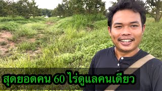 เจ้าของสวนทุเรียนแปลงนี้ไม่ธรรมดา 60 ไร่ดูแลคนเดียว | เนมสวนลุงเลิศ