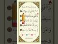 Surah Al-Masad | By Mishary Rashid Alafasy | The Palm Fiber,At-Tabbat, Lahab,#youtubeshorts