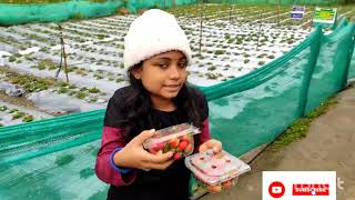 🌹MUNNAR - VATTAVADA- WINTER VEGETABLE VILLAGE🌹