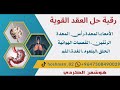 رقية قوية مخصصة لحل عقد البطن،المعدة،الأمعاء،الكليتين،الرئتين،القصبات، الهوائية،البلعوم،الحلق،الصدر