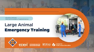 Large Animal Emergency Training | UF Veterinary Emergency Treatment Service (UF VETS)