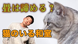 猫を和室で飼うなら畳を「これ」に変える