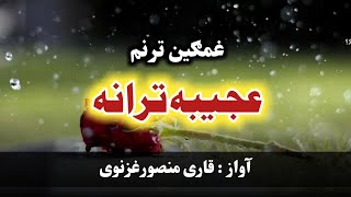 عجیبه ترنم || غږقاری منصور غزنوی || Hamasi tarane || حماسی تراني || منصورغزنوی || نوی ترانه