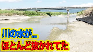 干上がりかけた川で大物がかかった！