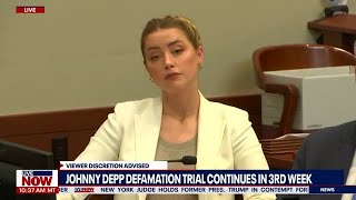 Johnny Depp trial: Amber Heard did NOT have PTSD, expert says | LiveNOW from FOX