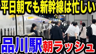 【新幹線も朝は5分間隔！？】新幹線通勤者が多い東海道新幹線品川駅の平日朝ラッシュを観察