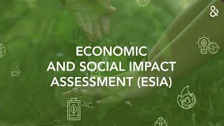 D\u0026B Economic and Social Impact Assessment