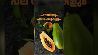 പപ്പായക്ക് ഇത്രയും പേരുകളോ? | Does papaya have so many names?