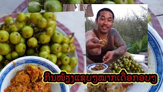 ตำเมี่ยงตะไค้รกับมะเดื่อกอบๆแชบๆ//ຕຳໝ້ຽງຫົວສີໄຄກັບໝາກເດື່ອກອບໆແຊບໆ