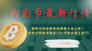 狗狗币 doge币 比特币 BTC 区块链 加密货币 最新行情走势分析，狗狗币到底要跌到哪里才会止跌？比特币带崩市值前100币种全部下跌？